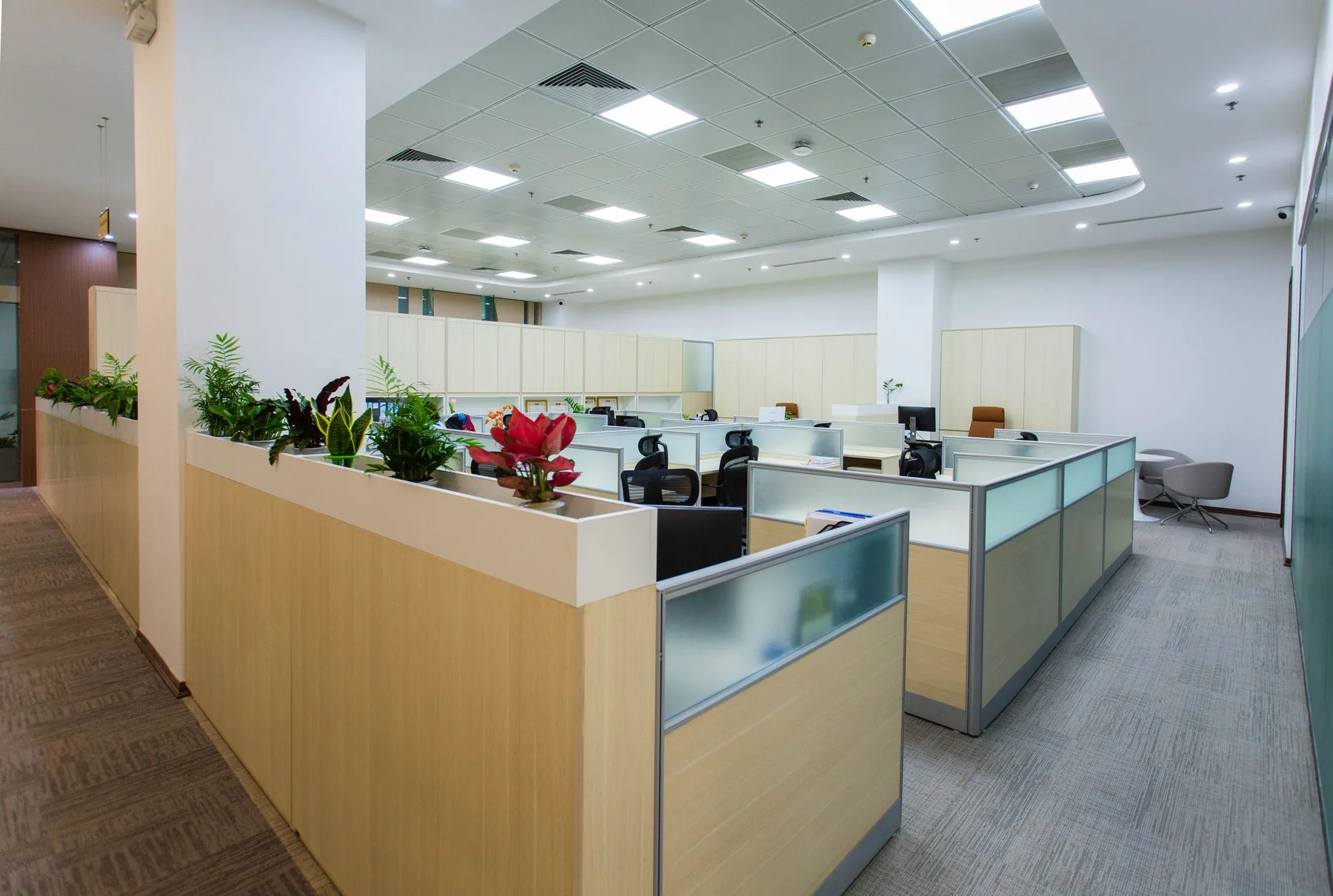 Gerflor Creation — LVT contract in plance e piastre di vinile, Skema Libero Latina e Roma